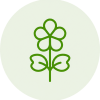 lucerna_svg